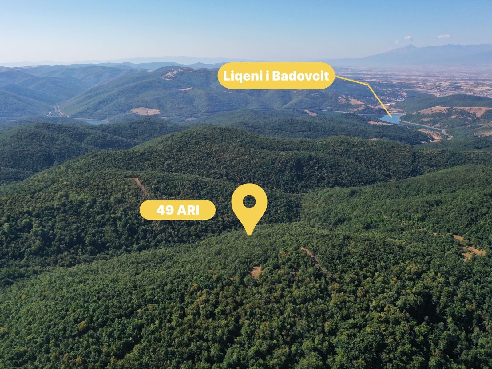 d50f5db2-1773-4872-9684-9466204106ca